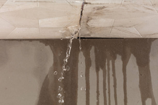 Professional Burst Pipe Cleanup technician working in Milan, TN
